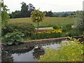 Moat - Loseley Park