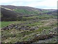 ND1127 : Remains of a farmstead above Berriedale Water by Claire Pegrum