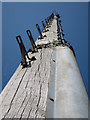 Looking up the mast