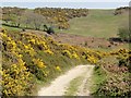 SY3993 : Chardown Hill by Tony Atkin