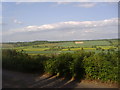 The Dunstable Downs from Ringshall Road