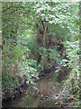 The Quaggy River east of Westdean Avenue, SE12 (3)