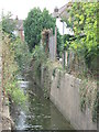 The Quaggy River north of Marvels Lane, SE12 (3)