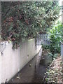 The Quaggy River north of Marvels Lane, SE12 (6)