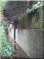 The Quaggy River between Marvels Lane and Chinbrook Road, SE12