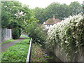 The Quaggy River north of Chinbrook Road, SE12