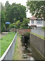 The Quaggy River north of Chinbrook Road, SE12 (2)