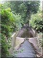 The Quaggy River south of Chinbrook Road, SE12