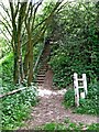 Steps from Timber Lane to Leapgate Country Park, Stourport-on-Severn