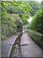 The Quaggy River south of Chinbrook Road, SE12 (2)