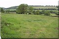 Fields by Shipham Lane