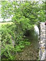 The River Banwell adjacent to The Brewers Arms Banwell