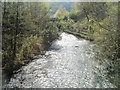 Ebbw River downstream from the edge of Pandy Park, Crosskeys