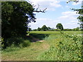 TM3761 : Footpath to the A12 Saxmundham Bypass & Deadman's Lane by Geographer
