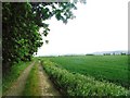 Track by Lane Farm Cottages