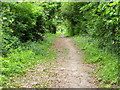 Footpath near Stockbridge