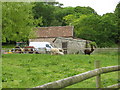 Alpacas grazing at Winterhead Farm