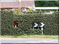 Newbridge: roadside objects hidden in a hedge