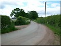 Ash Hey Lane, Picton Gorse