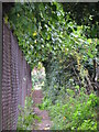 Footpath north of Lawn Close, BR1