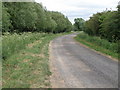 Cow Fen Track