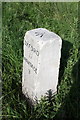 Benchmark on milestone beside A338 three miles from Wantage