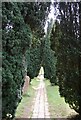 TQ8431 : High Weald Landscape Trail in St Mary's churchyard by N Chadwick