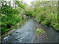 River Earn near A85 at Dunira, Comrie