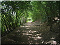 Footpath off Bell Butts Lane