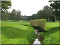 The Kyd Brook, Sundridge Park Golf Course (12)