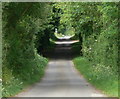 SP5695 : Hill Lane near Countesthorpe by Mat Fascione