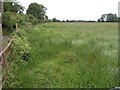 Grass field, Claverham