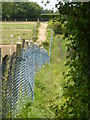 Footpath near Chapelhill Wood