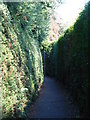 Footpath between Lower Camden and Porrington Close, BR7 (2)