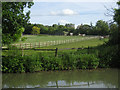 Paddocks by the Basingstoke canal