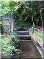 The Kyd Brook at the Gosshill Road Level Monitoring Station