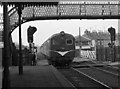 Train entering Coleraine station