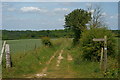 Public Footpath to Mugswell, Surrey