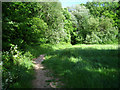 Path on Broad Oak Common