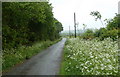 Looking along Mill Lane