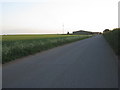 Roadway to Northwold Farm