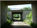 Double bridge under the A61