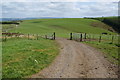 Track and bridleway above Maenhinon