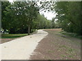 Embankment in Colwick Park