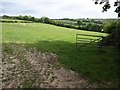 Field next to minor road from Cutmadoc to Trewindle