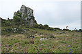 Roche: Roche Rock