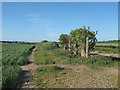 Bridleway and footpath junction near Malmains Farm