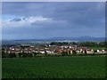 Stirling, fields of barley