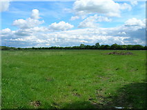 SE6416 : Farmland off Fowdall Lane by JThomas