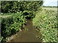 Stream at Blackmore Ford Bridge